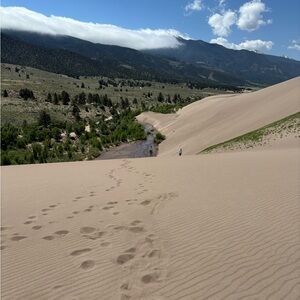 Meet your Posher, Tricia